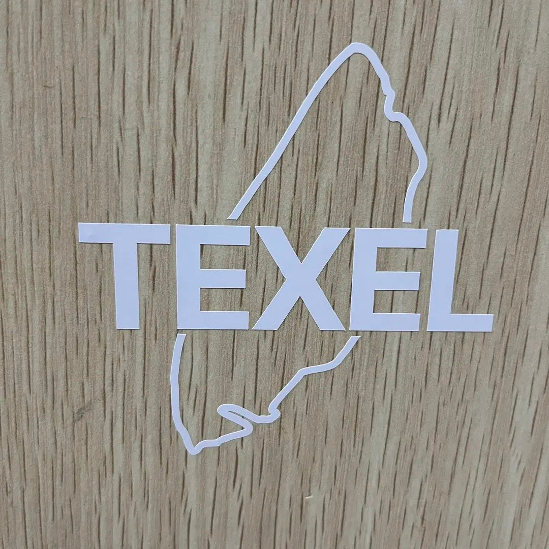 Texel Car Sticker 8x8 cm Water &amp; UV resistant