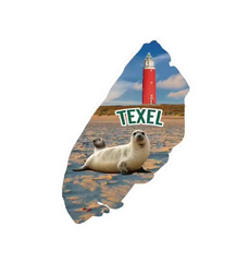 Texel eiland strand souvenir magneet vuurtoren & zeehond acryl